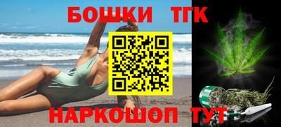 шишки Кингисепп