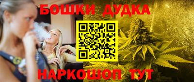 шишки Кингисепп