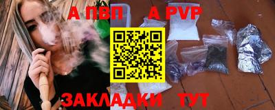 шишки Кингисепп