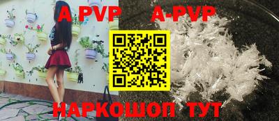 шишки Кингисепп